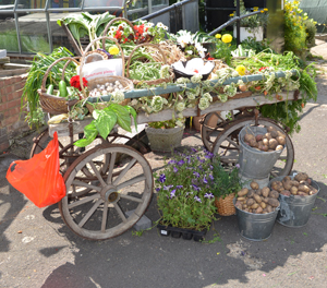 Produce barrow